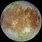 Galilean Moon Europa