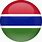 Gambia Flag Icon
