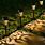 Garden Lighting Ideas Solar