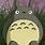 Ghibli Anime Totoro