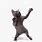 Gifs Cats Dance to Happy