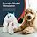 Giggling Yeti Dog Toys