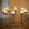Glass Table Candle Holders