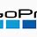 GoPro Max Logo