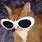 Goggles Cat PFP