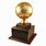 Golden Basketball Trophy