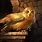 Golden Owl Art