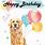 Golden Retriever Birthday Card