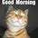 Good Morning Kitty Meme