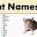 Good Rat Names