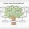 Google Docs Family Tree Template Free