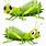 Grasshopper Illustration