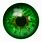 Green Eye Pupil