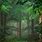 Green Forest Wallpaper HD