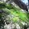 Green Moss On Rocks