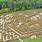 Greensboro NC Corn Maze