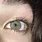 Grey Green Eyes