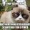 Grumpy Cat Sayings