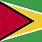 Guyana Flag Logo