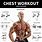 Gym Workout for Chest