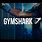 GymShark Ads