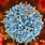 HIV Virus Cell