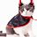 Halloween Costumes for Cats