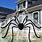 Halloween Spider Web Ideas