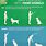 Hand Signals to Train Dogs