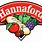 Hannaford Logo