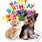 Happy Birthday Cat and Dog Images