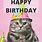Happy Birthday From Cats