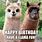 Happy Birthday Funny Llama