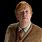 Harry Potter Arthur Weasley