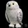 Harry Potter Owl Plush