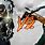 Hawkeye versus Green Arrow