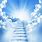 Heaven Staircase