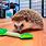 Hedgehog Toys