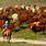 Herding Cattle