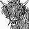 Highlander Cow Coloring Pages