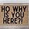 Ho Why Is You Here Doormat