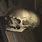 Holbein Ambassadors Skull