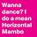 Horizontal Mambo Dancing Meme