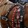 Horse Harness Decorations
