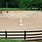 Horse Jumping Arena