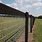 Horse Wire Fence Panels