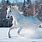 Horses Running in the Snow