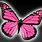 Hot Pink Butterflies