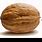 How Big Is a Walnut