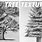 How to Draw Tree Texture
